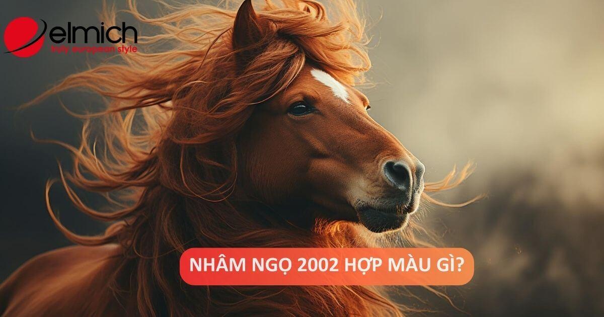 Mau sac xe nen tranh cho nguoi sinh nam 2002 tuoi Ngo menh Moc